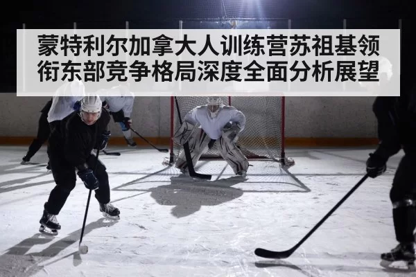 ice hockey arena game action